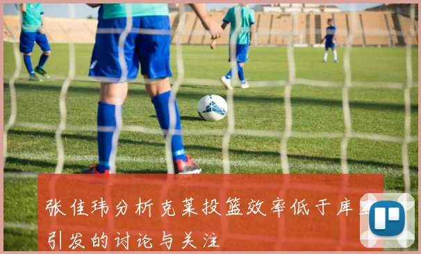 张佳玮分析克莱投篮效率低于库里引发的讨论与关注