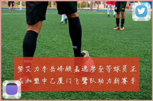 努艾力李岳峰顾嘉逸廖垒等球员正式加盟中乙厦门飞鹭队助力新赛季