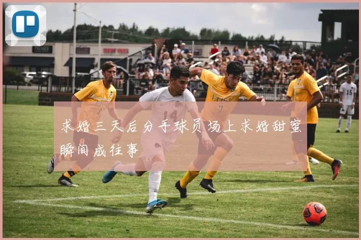 求婚三天后分手球员场上求婚甜蜜瞬间成往事